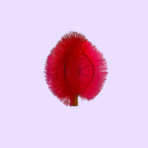 Large Iron-Frame Ceiling Brush - Image 2