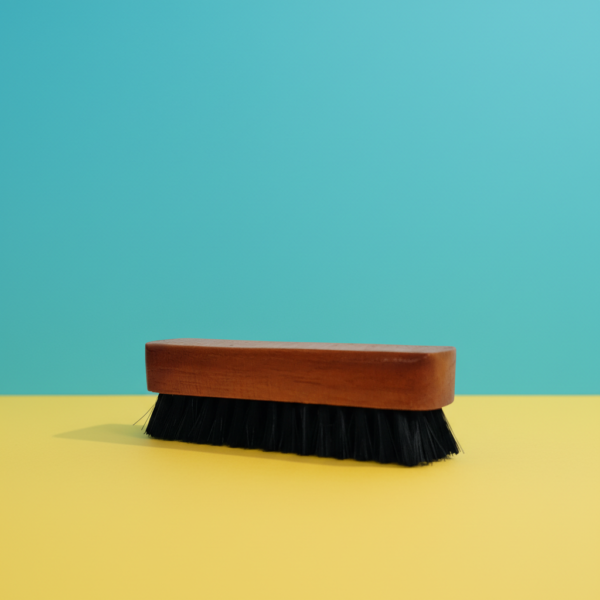 Polishing Shoe Brush