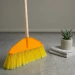 Broom Zebra